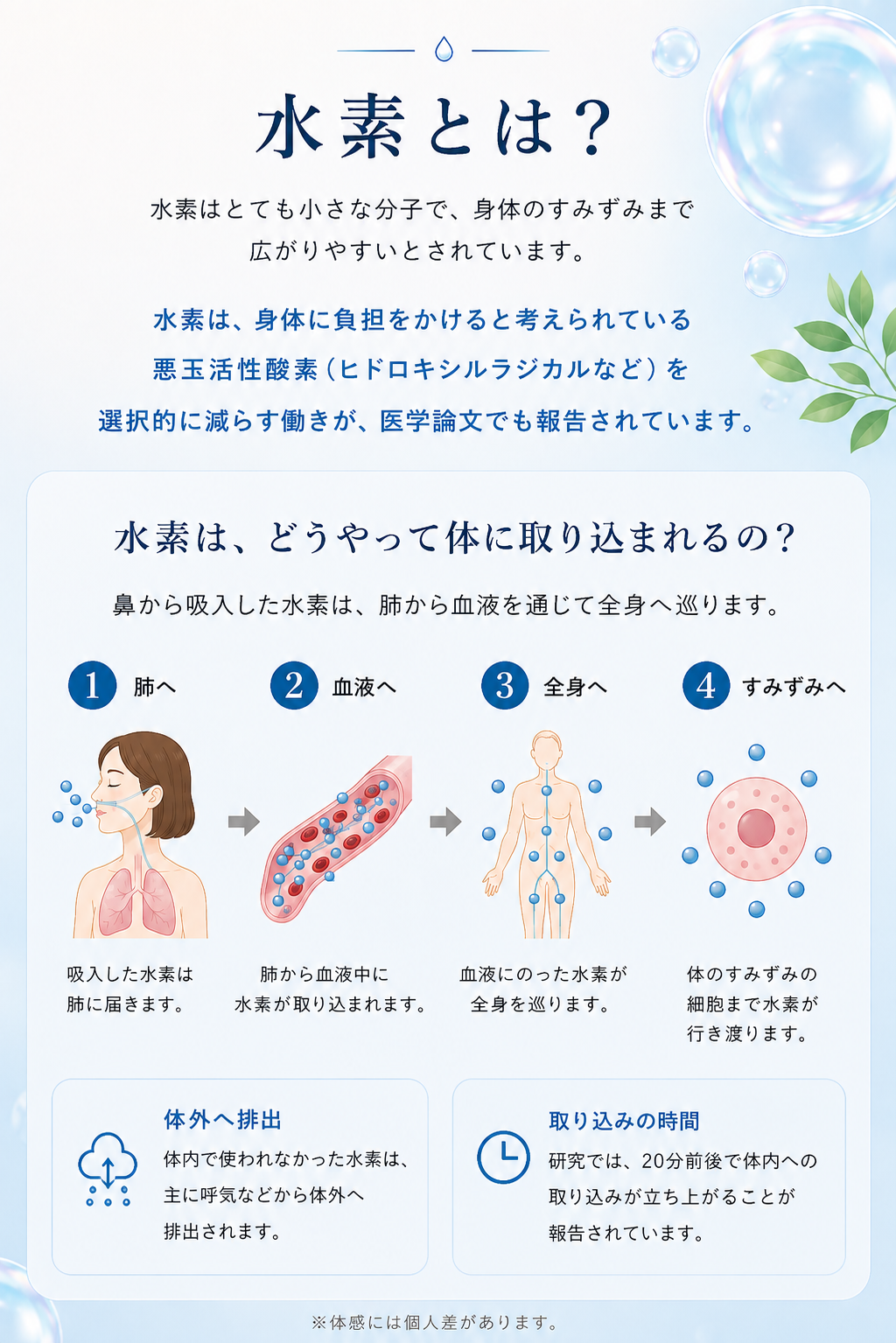 水素とは? 水素の特徴と、鼻から吸入した水素が肺・血液・全身・細胞のすみずみへ巡る流れを説明する図解