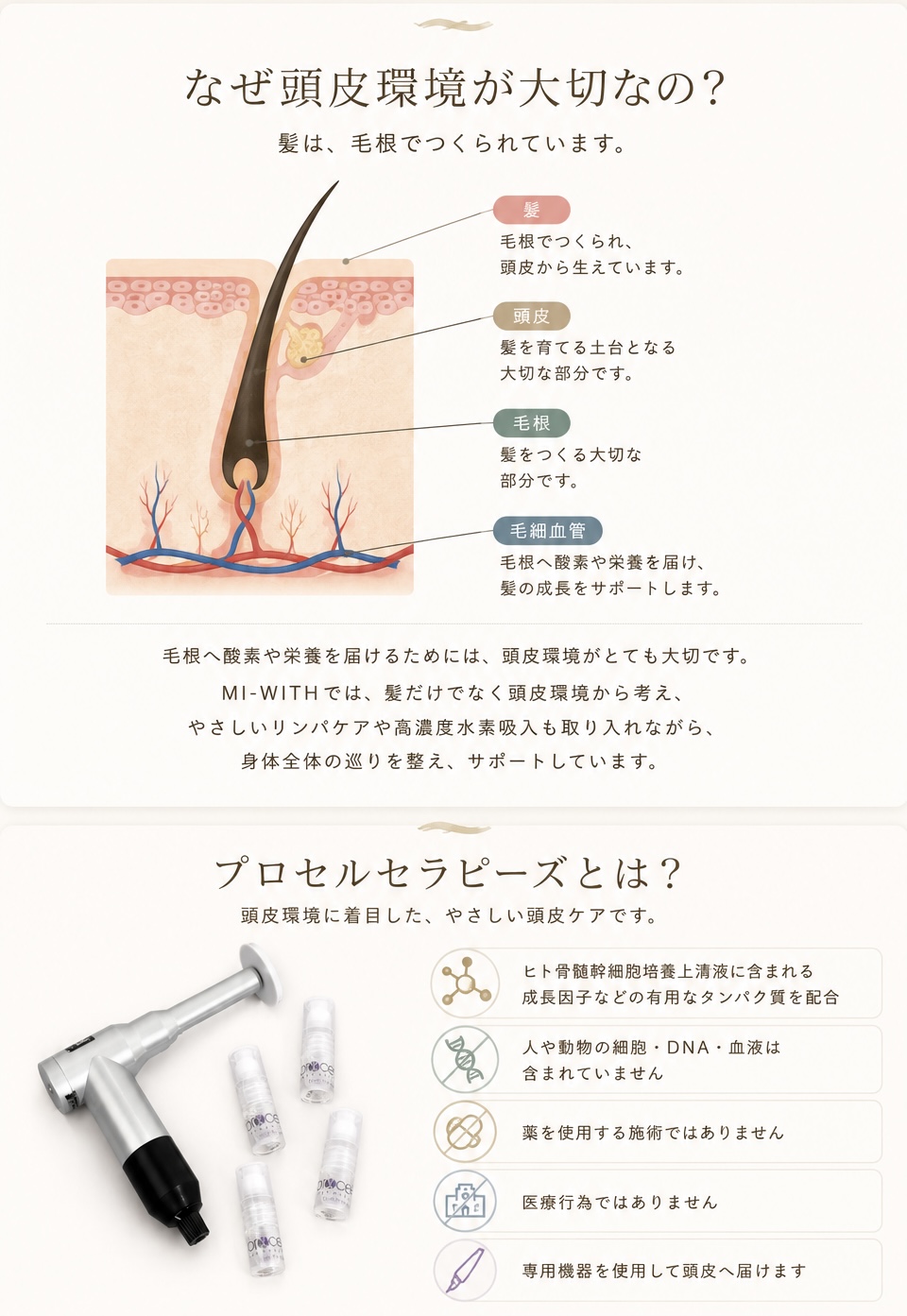 なぜ頭皮環境が大切なのかをまとめた図解
